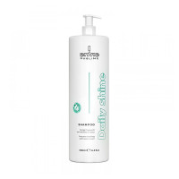 Шампунь Envie Daily Shine Shampoo щоденний для блиску волосся з кокосом (EN474) 500 г (розлив)