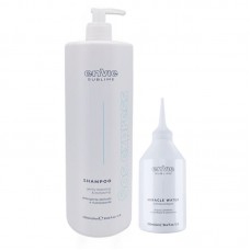 Набір Envie Luxury Sos Express шампунь і флюїд для відновлення волосся (EN461/EN468), 1000+250 мл