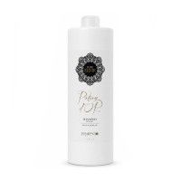 Безсульфатний шампунь Sinergy Potion D'or Shampoo з олією аргани і жожоба для сухого і тм'яного волосся, 1000 мл