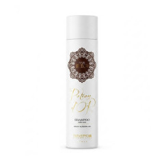 Безсульфатний шампунь Sinergy Potion D'or Shampoo з олією аргани і жожоба для сухого і тм'яного волосся, 250 мл