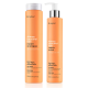Набор Erayba ABH Repair DUO шампунь и маска для поврежденных и сухих волос 2х250 мл