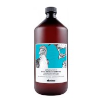 Увлажняющий шампунь Davines Natural Tech Well-Being Shampoo, 1000 мл