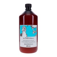 Зволожуючий шампунь Davines Natural Tech Well-Being Shampoo, 1000 мл