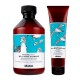 Набор Davines DUO Natural Tech Well-Being шампунь и кондиционер для увлажнения волос, 250/150 мл
