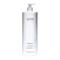 Шампунь проти лупи Envie Flakes Control Shampoo (EN373) 1000 мл