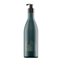 Ламелярний шампунь Raywell  BIO Lamellar Shampoo для блиску волосся (RR600), 200 г (разлив)